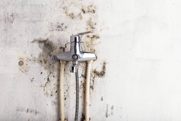 Best Residential Mold Removal  in Ladera Ranch, CA