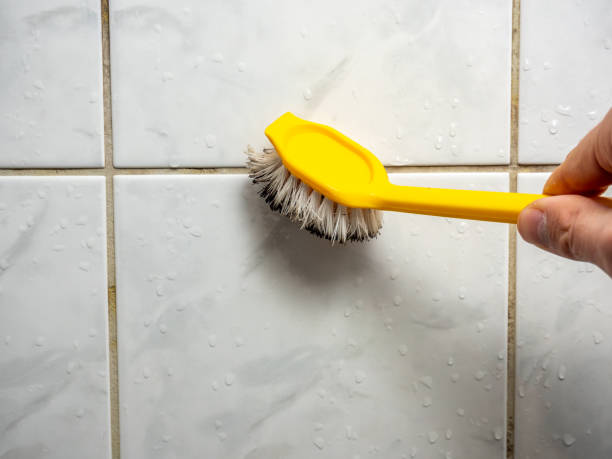 Best Fast Mold Removal  in Ladera Ranch, CA