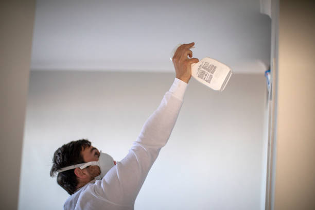 Best Local Mold Removal Service  in Ladera Ranch, CA