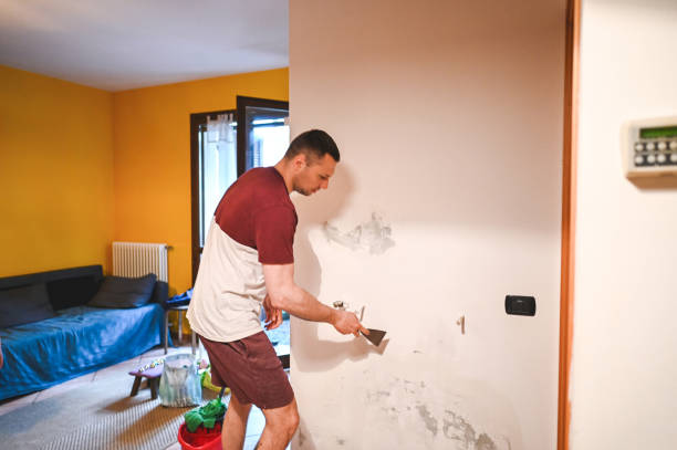 Certified Mold Removal in Ladera Ranch, CA